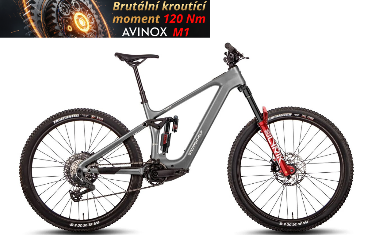 STEPPENWOLF TUNDRA 10.0 AVINOX