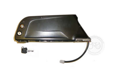 REPASE KINTE 36V LI-ION