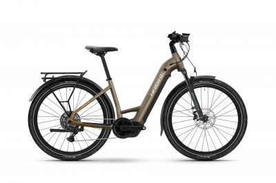 Haibike TREKKING 6.5 zlatá - Low (2025)