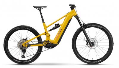 RAYMON RAVOR LT COMP 29/27.5