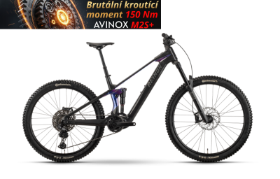 RAYMON TAROK PRO