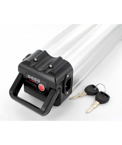 REPASE SILVERFISH 36V LI-ION - TYP2